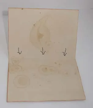 notebook-uri scrapbooking Master class cu propriile lor mâini