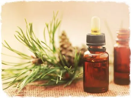 Ulei de brad - proprietati de vindecare, și toate secretele de aplicare