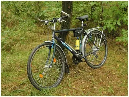 Actualizarea unei biciclete vechi, bicicleta