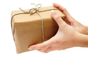 Plata la livrare ce înseamnă, baza financiară