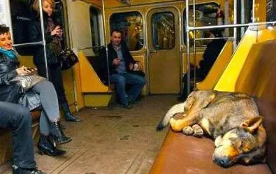 A început la Moscova metrou