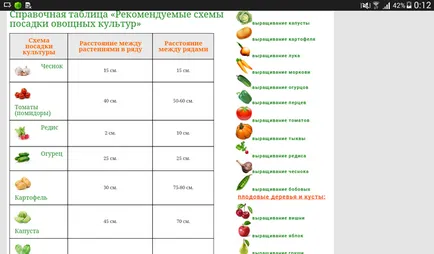 Cât de departe de a planta castraveți în teren deschis