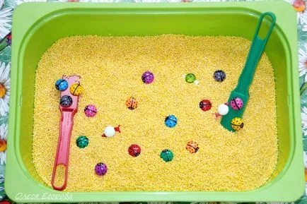 Începem să studiem portalul de informații de culoare max-DV media
