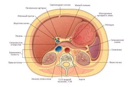 mri abdominale ce este, care verifică autoritățile