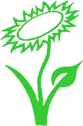 cosmetice naturale, organice și pe bază de plante - că există, sau cum să recunoască real