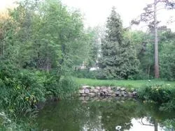 îngrijirea și plantarea 1 Nymphaea