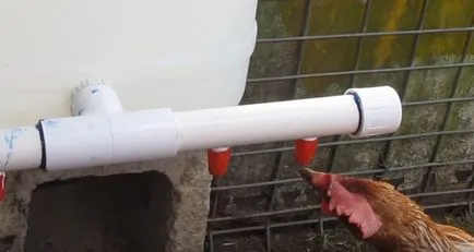 Tasnitoarele de pui modul de a face propriile mâini dvs., foto, video