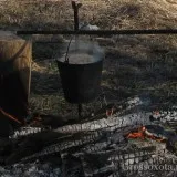 Peste noapte în pădure trebuie să știți