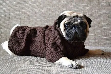 pentru haine pug cu propriile lor mâini - dogcollar - hamurile pentru câini și accesorii (îmbrăcăminte) pentru haine pug cu propriile mâini - dogcollar - muniție și accesorii pentru câini