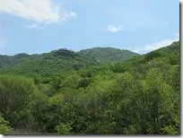 Și supraviețuirea în orienteering sfatul Mushroomer de pădure cum să nu se piardă în pădure în timp ce colectarea de ciuperci,