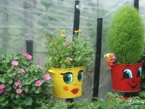 O gradina de legume pe pervazul ferestrei, în timpul iernii pentru incepatori