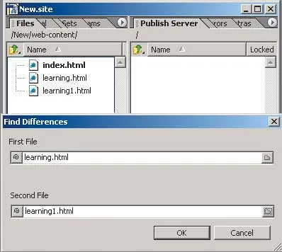 Unele secrete GoLive cs, Computerpress