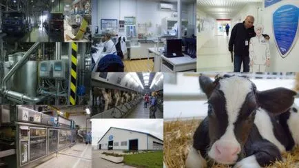 Principalele produse sunt diferite tipuri de animale