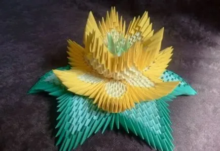 Lotus origami modul de a face hârtie și module cu fotografii și video