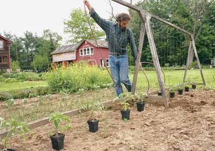sprijin autentic pentru plante mai înalte