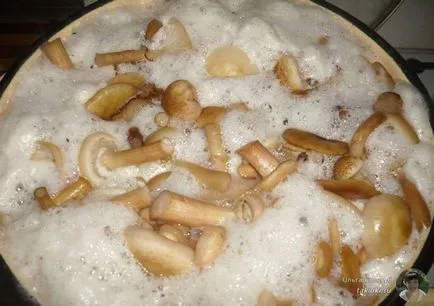 retete ciuperci marinate