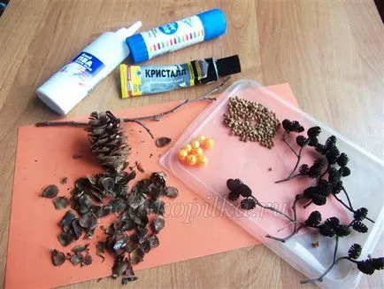 Panouri de toamnă realizate din materiale naturale, cu propriile lor mâini (aplicarea de materiale naturale) Panouri de toamnă realizate din materiale naturale, cu propriile lor mâini