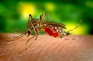 infecții periculoase în special
