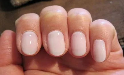 creare echipamente, opțiuni de design de formă ovală nogtey-