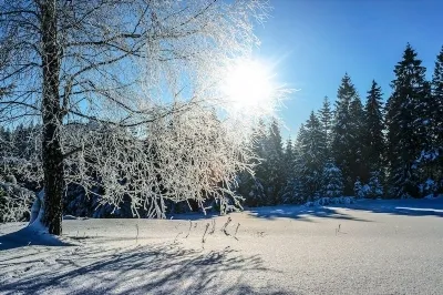 Uniunea Sovietică în ajunul Marelui Război Patriotic pe scurt