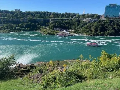 Uleiul de migdale pentru păr este un cadou al frumuseții din natură