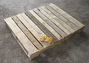 Paleta - este