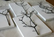 Panouri realizate din materiale naturale, cu mâinile lor proprii, fotografie, de iarnă și de Crăciun, decorare