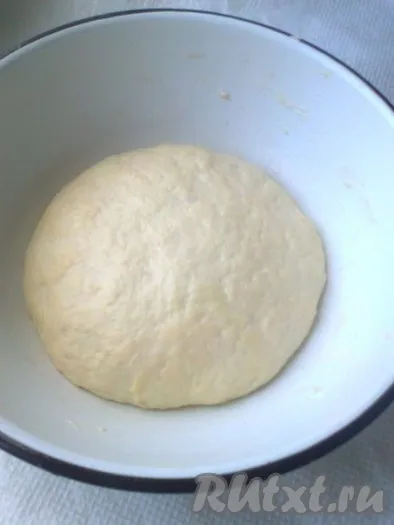 plăcinte Fried, atât la școală - o rețetă cu fotografie (reteta) plăcinte Fried, atât la școală - rețeta cu o fotografie