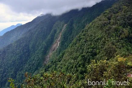 Kinabalu Park, ce să vezi, cum se obține valoarea (REACH) Kinabalu Park, ce să vezi, cum să obțineți prețul
