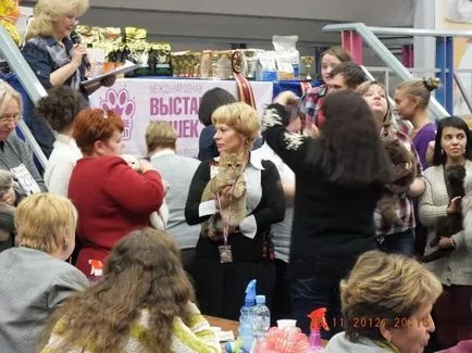 Prima dată pisicile expoziție care aduc spectacole pisica ta, Sunray - pepinieră de pisici britanice (ia) Prima dată pisicile expoziție care aduc spectacole pisica ta, Sunray - pepinieră de pisici britanice