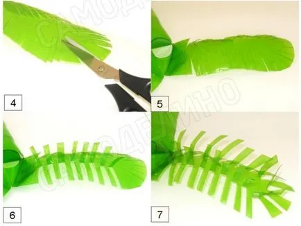 Palma de la sticle de plastic cu mâinile lor pași pentru incepatori fotografie (de palmier) Palma de la sticle de plastic cu mâinile lor pași pentru incepatori, fotografii