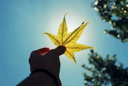 De ce este întrebările cele mai interesante copii