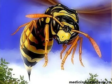 alergii alimentare la copii, cauze, simptome, tratament (alergie) alergii alimentare la copii, cauze, simptome, tratament
