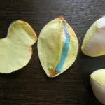 Artizanat pentru pomul Paste cu pașii lor mâini