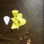 Artizanat pentru pomul Paste cu pașii lor mâini