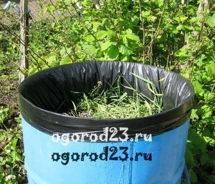 Fertilizarea roșii în câmp deschis și sera (tomate) Fertilizarea roșii în câmp deschis și seră
