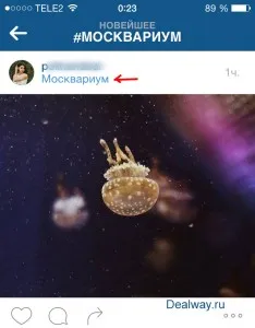 Găsește persoane în instagrame (4 moduri), blog-ul dealway