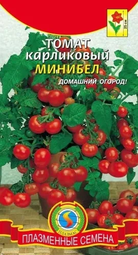 rosii cherry - soiuri pentru sere, teren deschis și pervazul ferestrei, îmi place grădina dumneavoastră (tomate) rosii cherry - soiuri pentru sere, teren deschis și pervazul ferestrei, îmi place grădina mea