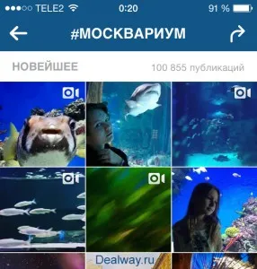 Găsește persoane în instagrame (4 moduri), blog-ul dealway