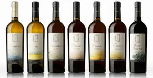 Semi-uscată de vin - ceea ce este diferența de video uscat, nalivali
