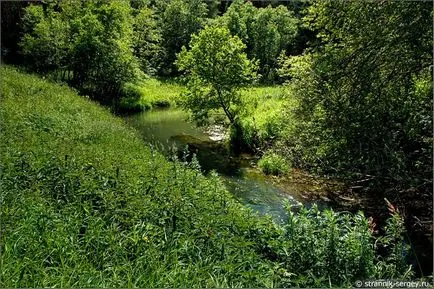 excursie pe jos de vară Wildflowers în iulie dealuri suburbii la râul Dubna