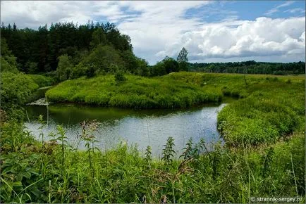 excursie pe jos de vară Wildflowers în iulie dealuri suburbii la râul Dubna