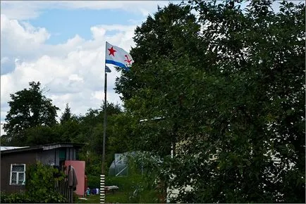 excursie pe jos de vară Wildflowers în iulie dealuri suburbii la râul Dubna
