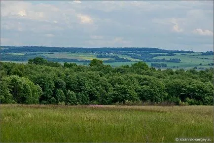 excursie pe jos de vară Wildflowers în iulie dealuri suburbii la râul Dubna