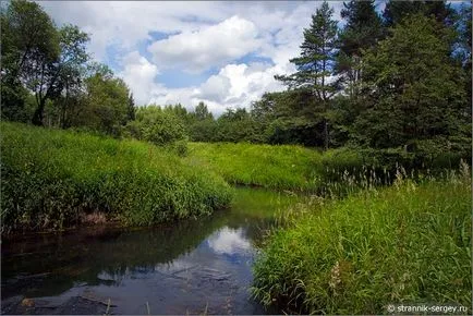 excursie pe jos de vară Wildflowers în iulie dealuri suburbii la râul Dubna