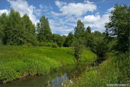 excursie pe jos de vară Wildflowers în iulie dealuri suburbii la râul Dubna