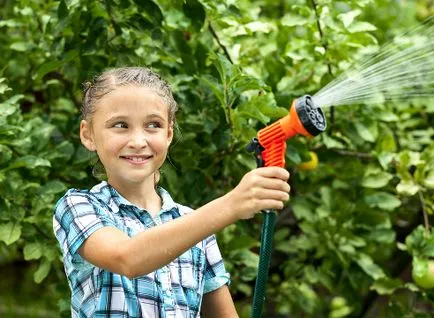 Udarea copaci atunci când, cât de mult, cum să (udare corect) Udarea copaci atunci când, cât de mult, cum să
