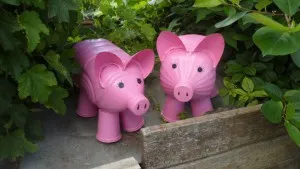 Purcel din sticle de plastic