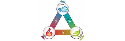Prakriti vikriti în Ayurveda, yoga, slavyoga (yoga) Prakriti și vikriti în Ayurveda, Yoga, slavyoga