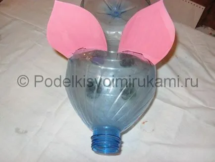 Porc dintr-o sticlă de plastic cu mâinile (mâini) Porc dintr-o sticlă de plastic cu mâinile